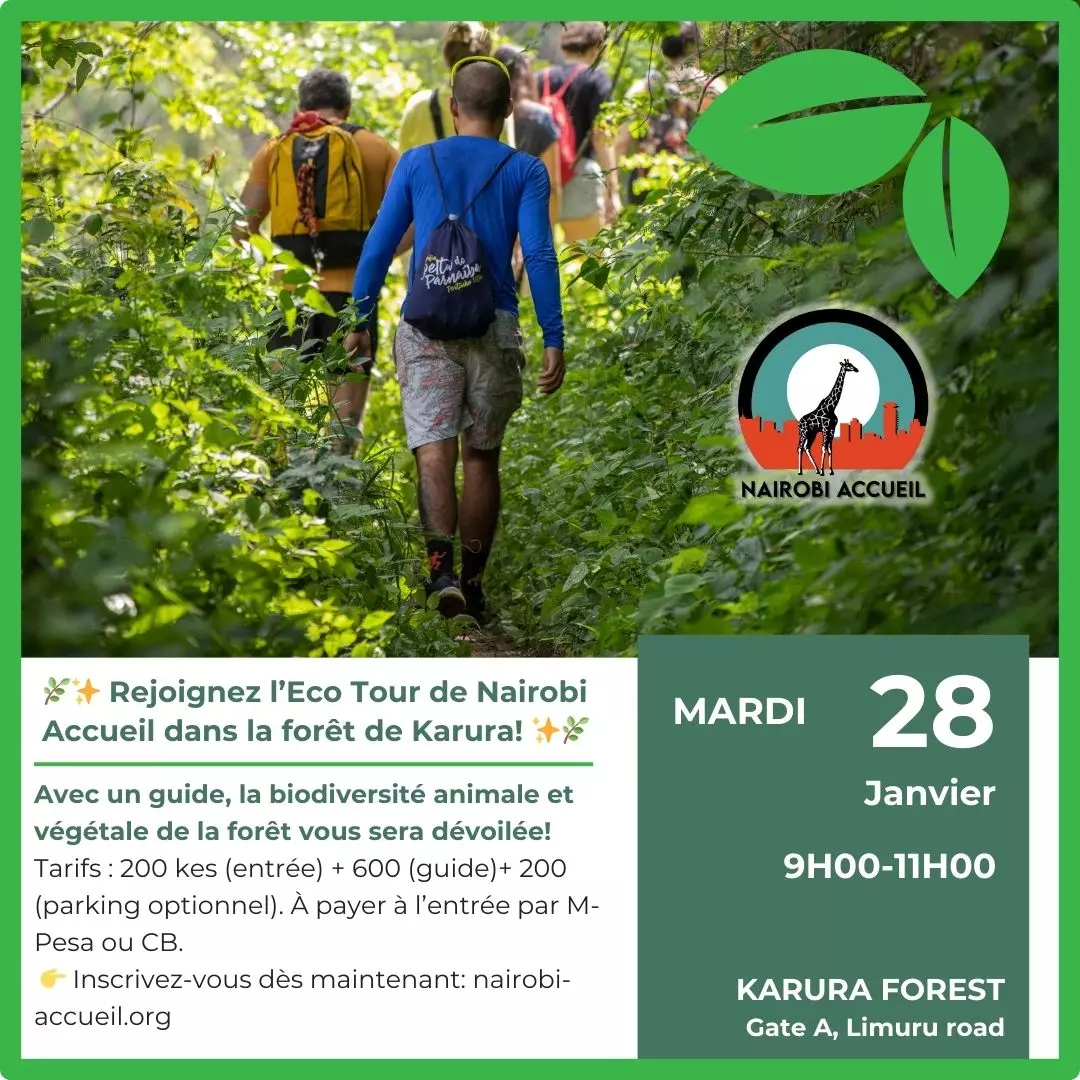 Eco Tour en forêt à Karura